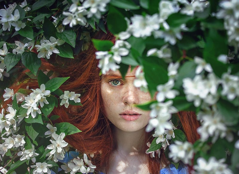 Whimsical Gardens